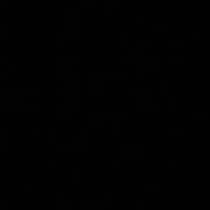 Meet your Posher, Donte